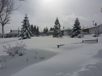 Snow covered houses and trees in city against sky