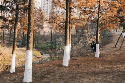 Man photographing through trees in forest