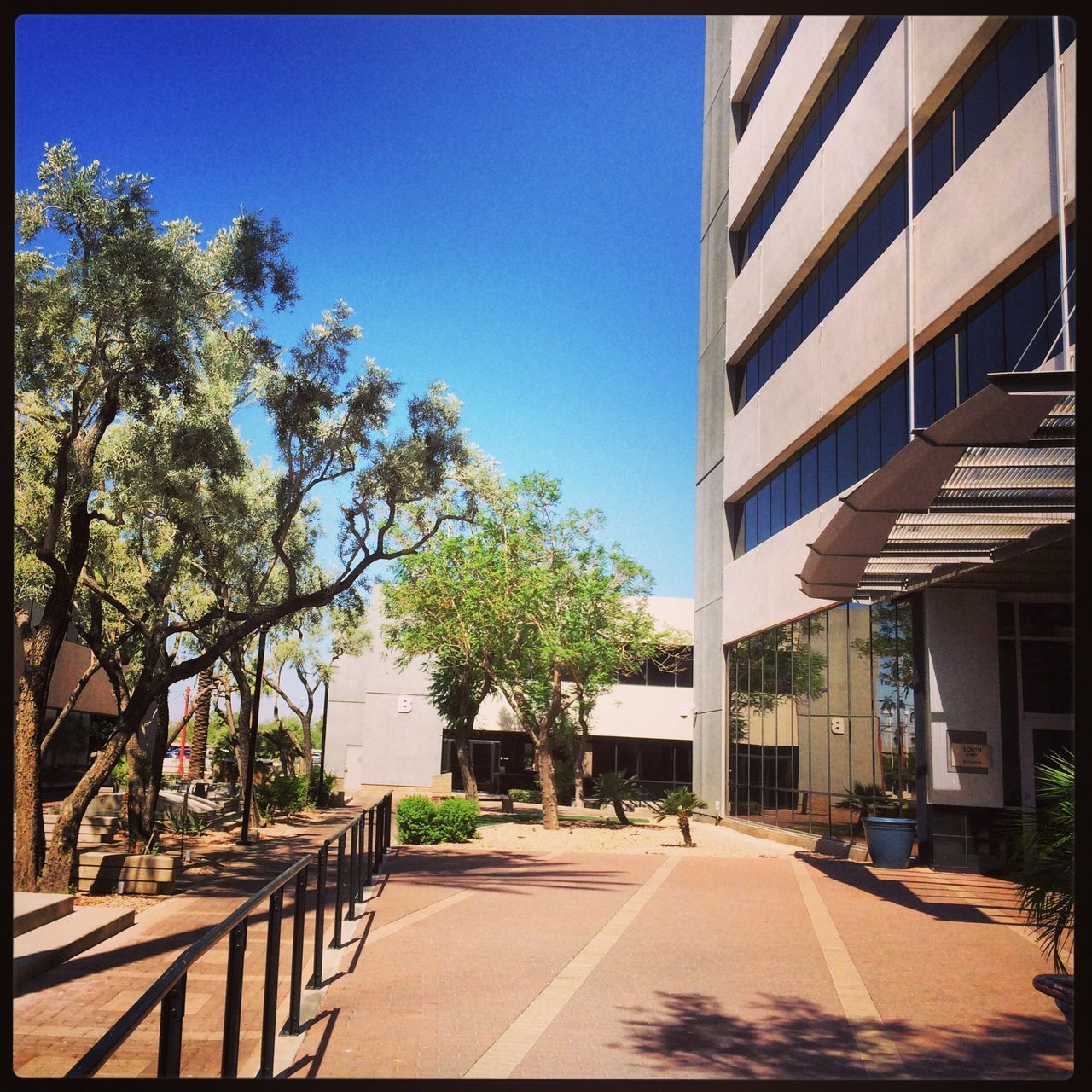 building exterior, architecture, built structure, tree, clear sky, the way forward, street, city, blue, sunlight, transfer print, road, diminishing perspective, transportation, shadow, residential building, empty, residential structure, sky, day