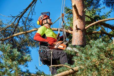 Low angle view of man holding chainsaw on tree trunk against sky