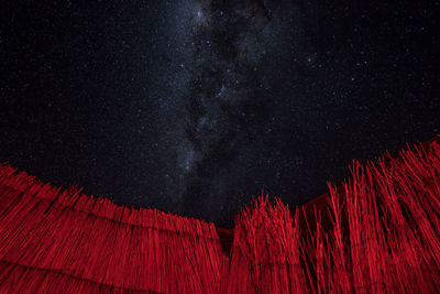 Low angle view of illuminated trees against sky at night
