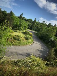 Road amidst trees and plants against sky