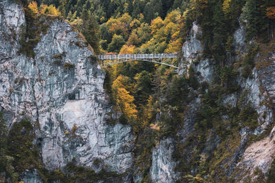 Distant image of bridge on rock formations in forest