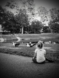 Rear view of a woman sitting on tree