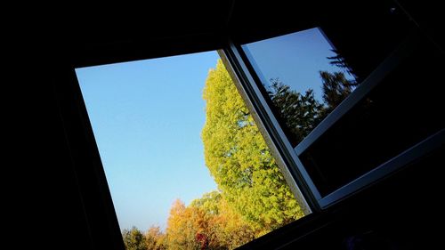 Low angle view of trees seen through window