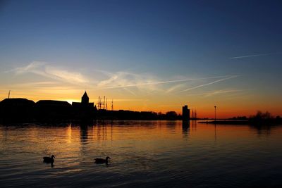 Silhouette of birds in water at sunset