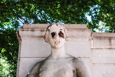 Low angle view of trees
