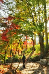 Man walking by trees in forest during autumn