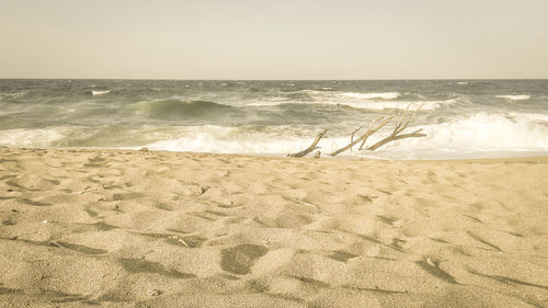 Scenic view of beach against clear sky