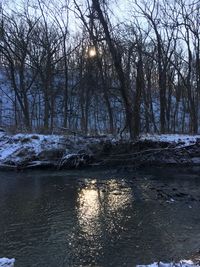 Bare trees by lake against sky during winter