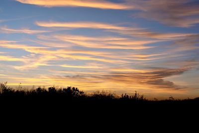 Silhouette trees on landscape against sky during sunset