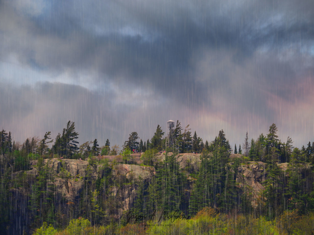 PANORAMIC VIEW OF TREES ON LAND AGAINST SKY