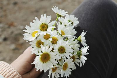 Close-up of hand holding flower