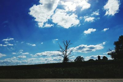 Silhouette trees on field against sky