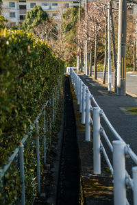 Footpath amidst trees and plants on field