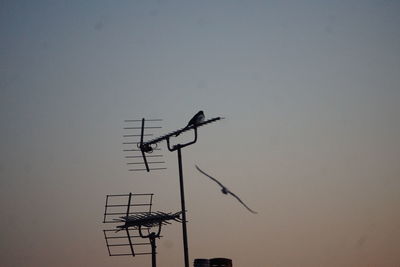 television antenna