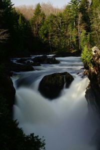 River flowing through forest