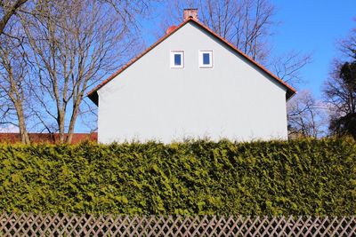 House by bare trees against clear sky