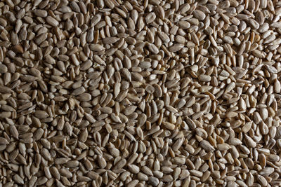 Full frame shot of roasted coffee beans