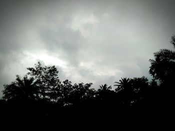 Low angle view of silhouette trees against sky