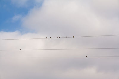 Low angle view of birds perching on power lines against cloudy sky