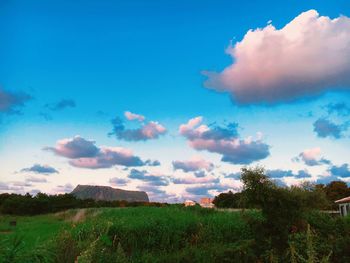 Scenic view of field against blue sky