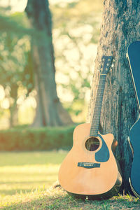 Guitar and guitar case standing with the tree in the park