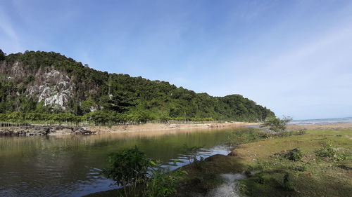 Scenic view of lake by trees against sky