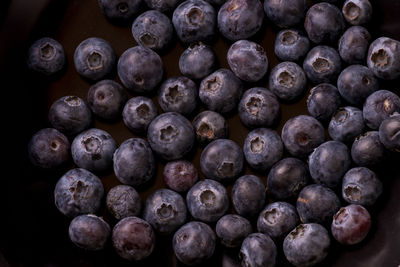 Close-up of blueberries