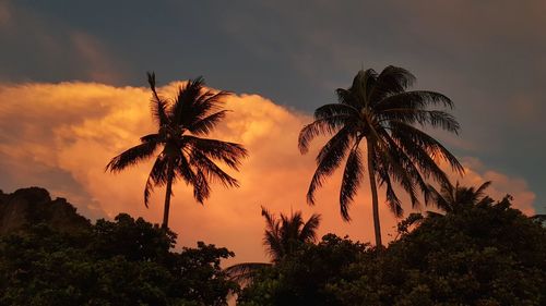 Silhouette palm trees against sky during sunset