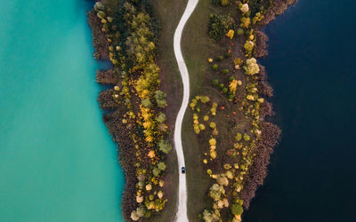 Aerial view of road amidst forest by sea