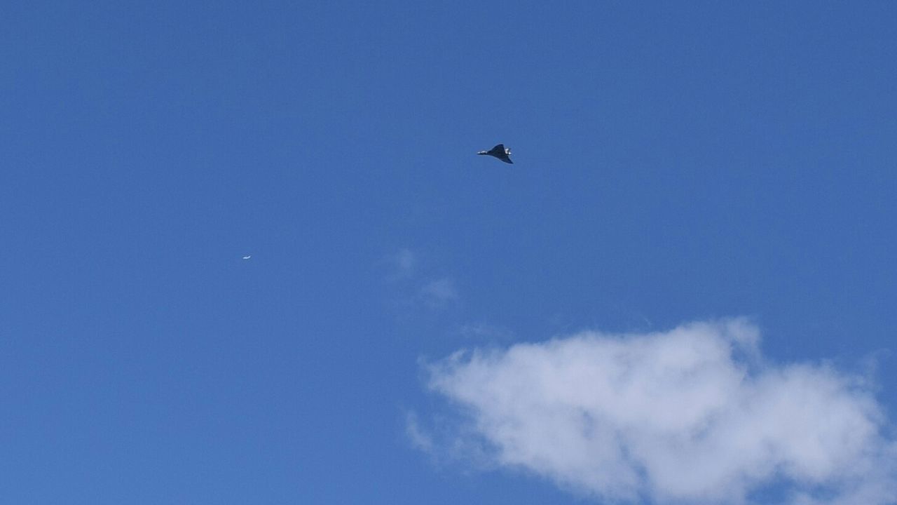 LOW ANGLE VIEW OF BIRD FLYING IN SKY