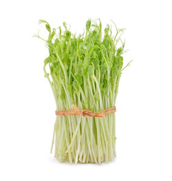 Close-up of fresh vegetables against white background