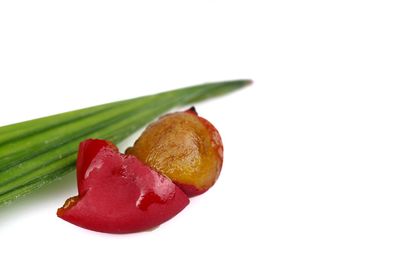 Close-up of strawberries on plate against white background