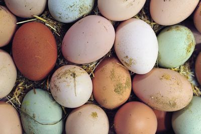 Natural reclaimed eggs