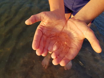 Close-up of hands holding jellyfish and water at beach