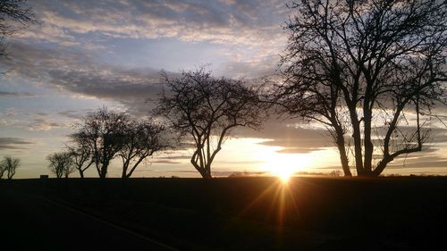 Silhouette trees against sky during sunset