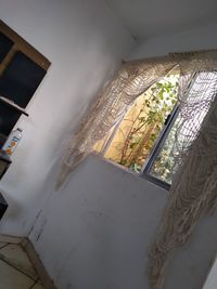 Portrait of woman looking through window at home