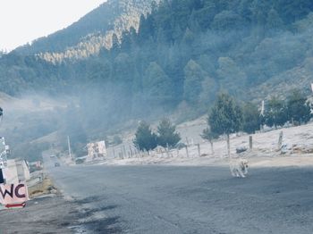 Scenic view of road by trees during winter