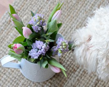 Close-up of flower bouquet