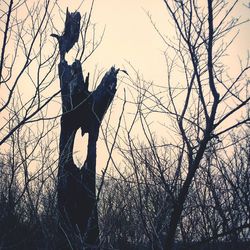 Low angle view of bare trees against sky