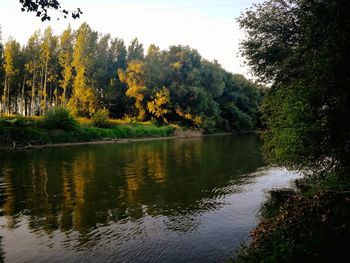 Scenic view of lake in forest during autumn