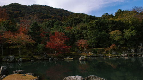 Scenic view of lake by trees against sky