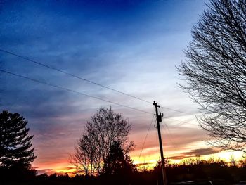 Silhouette of trees at sunset