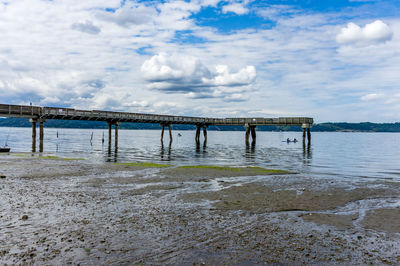 A view of the pier at dash point, washington with the tide out.