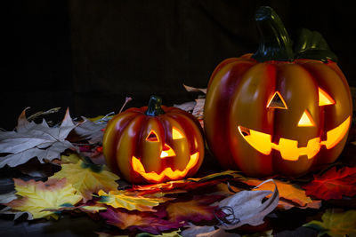 High angle view of illuminated jack o lanterns and autumn leaves against black background