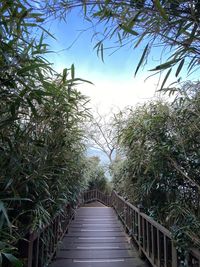 View of bridge against trees