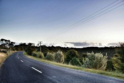 Empty road along trees