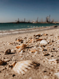 Close-up of pebbles on beach against sky