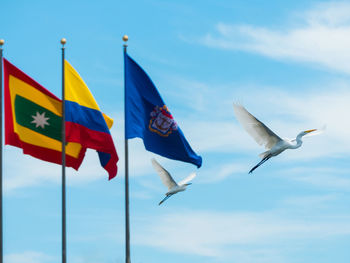 Low angle view of flags against birds flying in sky